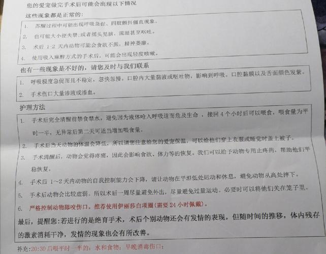 包生男孩注意事项【包生男孩注意事项大揭秘】
