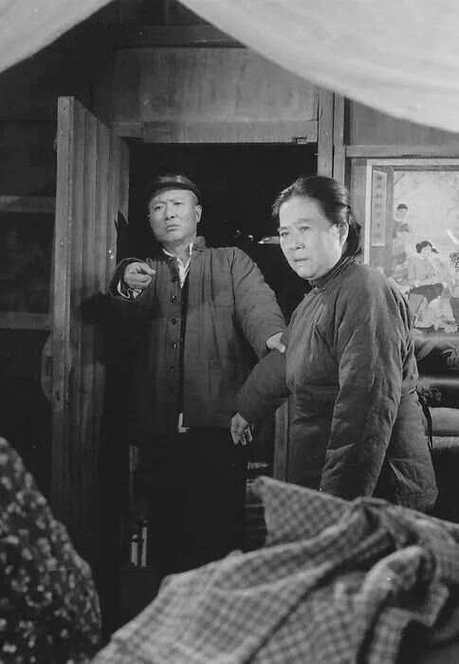 代生女儿-代生女儿:爱与责任的抉择
